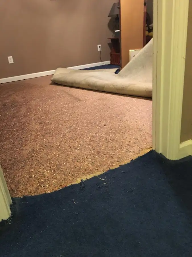 Carpet pad removal revealing water damage during Drying & Dehumidification in DeLand